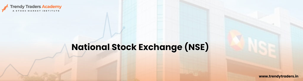 What is National Stock Exchange of India